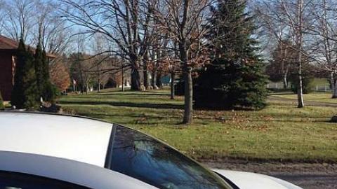 Nov 2014 photos - scimage.jpg