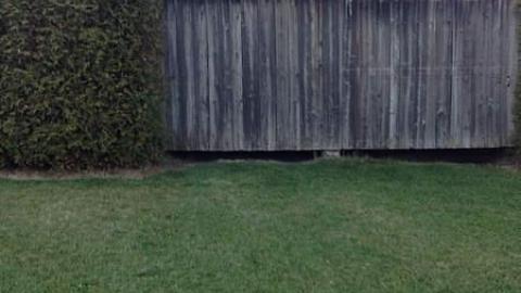 Nov 2014 photos - crimage.jpg