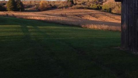 Nov 2014 photos - aximage.jpg