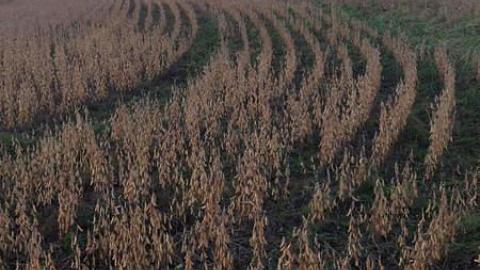 Nov 2014 photos - nqimage.jpg