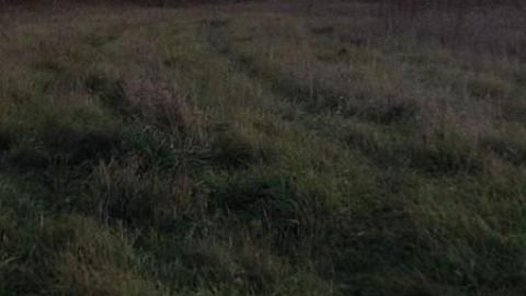 Nov 2014 photos - ohimage.jpg