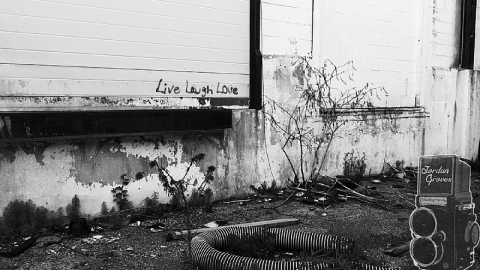 Creepy Candy - McCormicks-Biscuit-Factory53.png