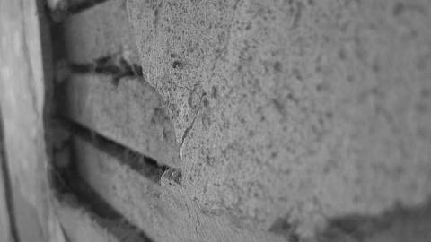 Glenarm Great - IMG_8008.jpg