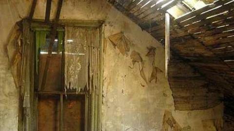 Glenarm Great - IMG_8813.jpg