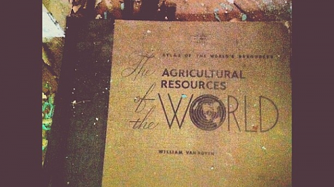 Abandoned Manor.  - Neglected-Manor261.PNG