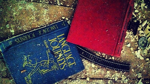 Photo from Abandoned Manor. 