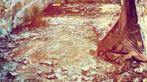 Photo from Abandoned Manor. 