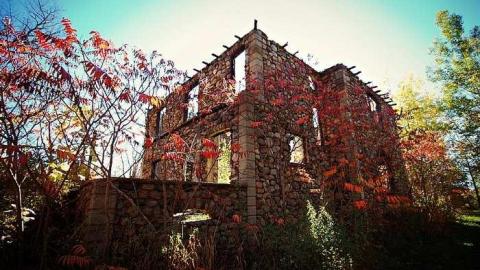 A little photo session  - DSC_0528.jpg