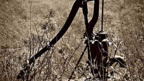 A view from the 400 - DSC_0137b.jpg