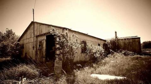 A view from the 400 - DSC_0159m.jpg