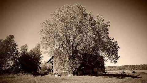 Photo from Better the first time