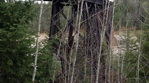 Bridge Over Troubled Water photo 4