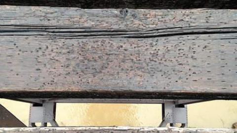 Bridge Over Troubled Water photo 2