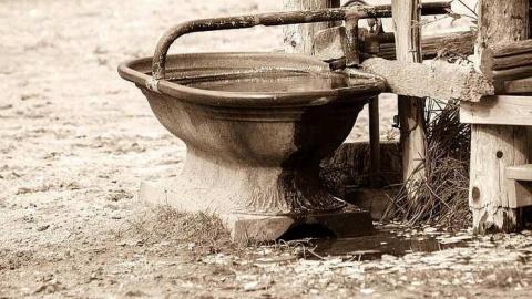 Charming Farming - Riverdale-Farm-(Zoo)4.jpg