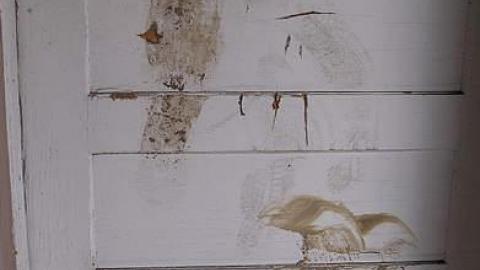 Lonely House - PB034854.jpg