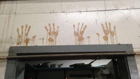 True North Plywood Plant  - True-North-Plywood-Plant20.jpg