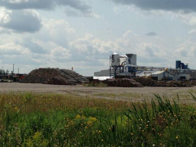 True North Plywood Plant photo 4