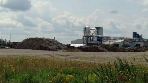 True North Plywood Plant photo 4