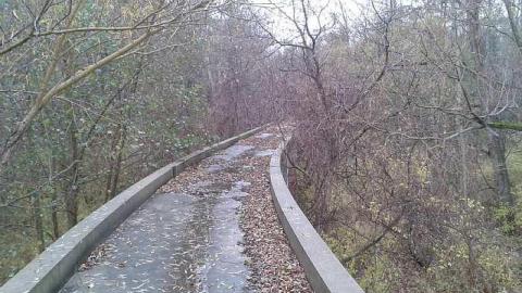 November 2014 - Canadian-Domain-Ride9.jpg