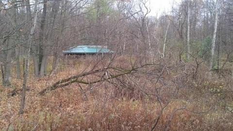 Photo from November 2014