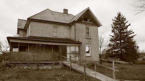 Yellow brick farm - Yellow-Brick-Farm10.jpg