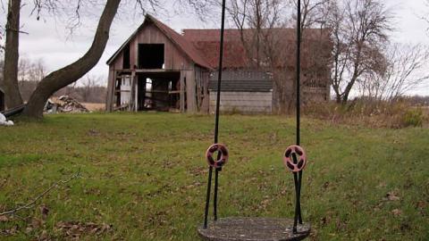 Yellow Brick Farm photo 5