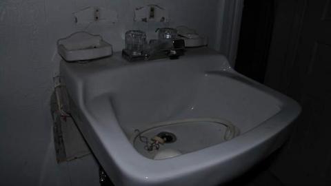 Yellow Brick Farm photo 4