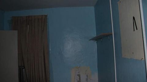 Yellow brick farm - Yellow-Brick-Farm8.jpg