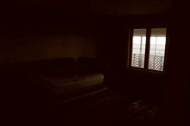 Yellow Brick Farm photo 3