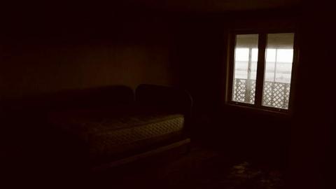 Yellow Brick Farm photo 3