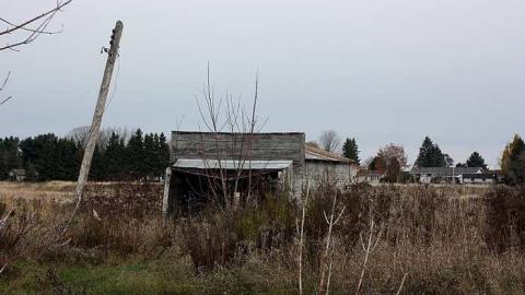 Nov 2014 - Long-Island-in-Manotick96.jpg