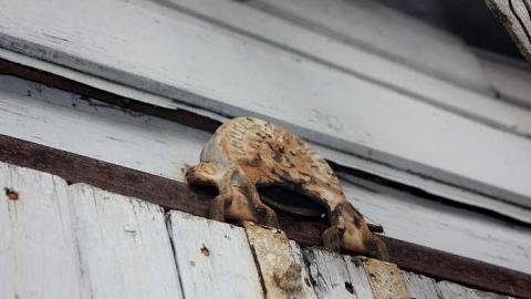 Nov 2014 - Long-Island-in-Manotick99.jpg