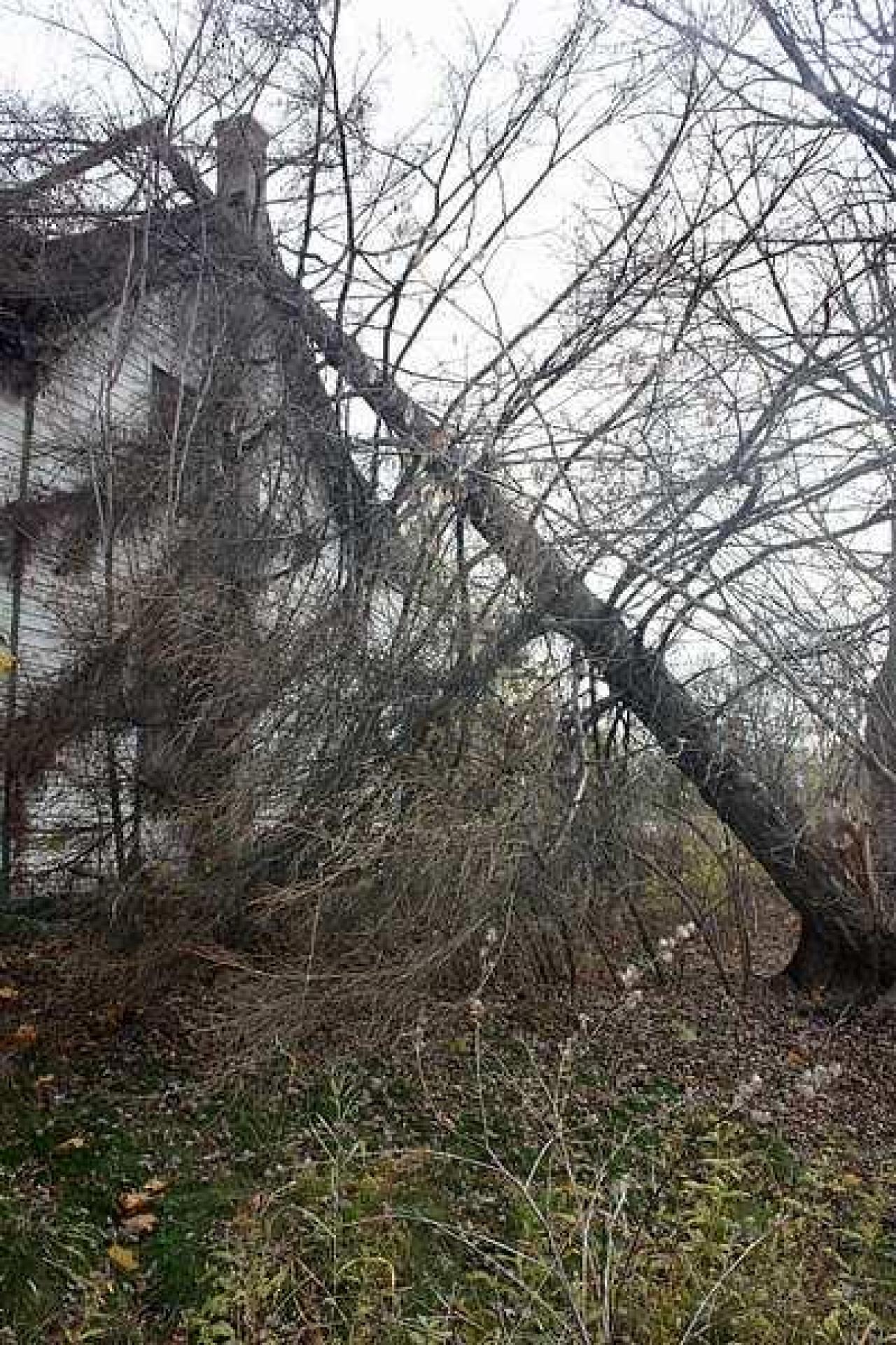 Nov 2014 - Long-Island-in-Manotick23.jpg