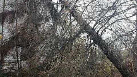 Nov 2014 - Long-Island-in-Manotick23.jpg