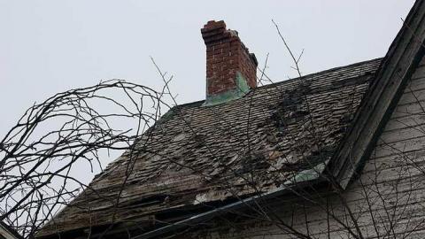 Nov 2014 - Long-Island-in-Manotick24.jpg