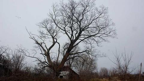 Nov 2014 - Long-Island-in-Manotick118.jpg
