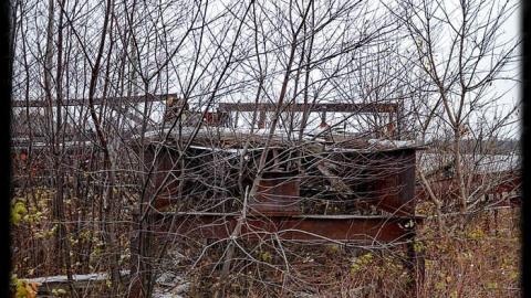 Dayment Saw Mill - Sawmill-In-Repose50.jpg