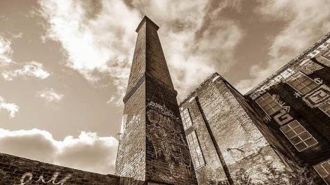 Chicken S**t - Linseed-Factory188.jpg