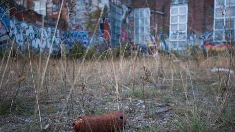 Chicken S**t - Linseed-Factory190.jpg