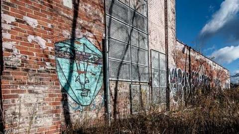 Chicken S**t - Linseed-Factory195.jpg