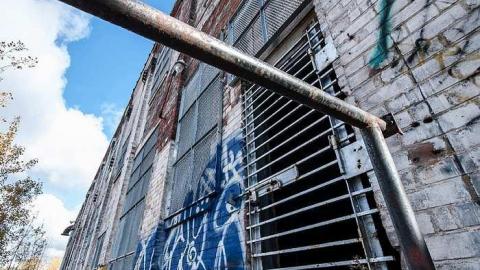 Chicken S**t - Linseed-Factory196.jpg