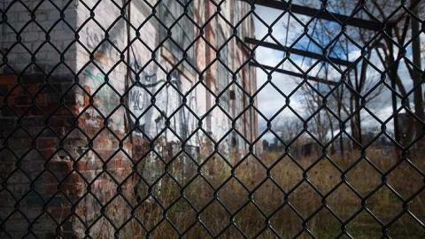 Chicken S**t - Linseed-Factory200.jpg