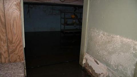 Fast and Furious - Nov Mission 238.jpg