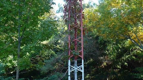 Photo from Plane Jane