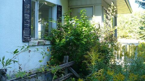 Plane Jane - P1180782.jpg