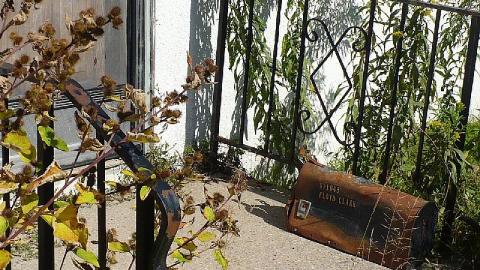 Plane Jane - P1180786.jpg