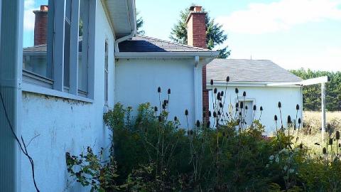 Plane Jane - P1180792.jpg