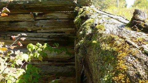 Forest Moving In - Furnace-Falls-(ghost-town)-228.jpg