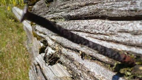 Photo from Forest Moving In