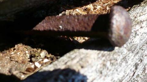 Forest Moving In - Furnace-Falls-(ghost-town)-230.jpg